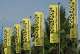 LOCARNO 78 | TALENTS & AMBIANCE